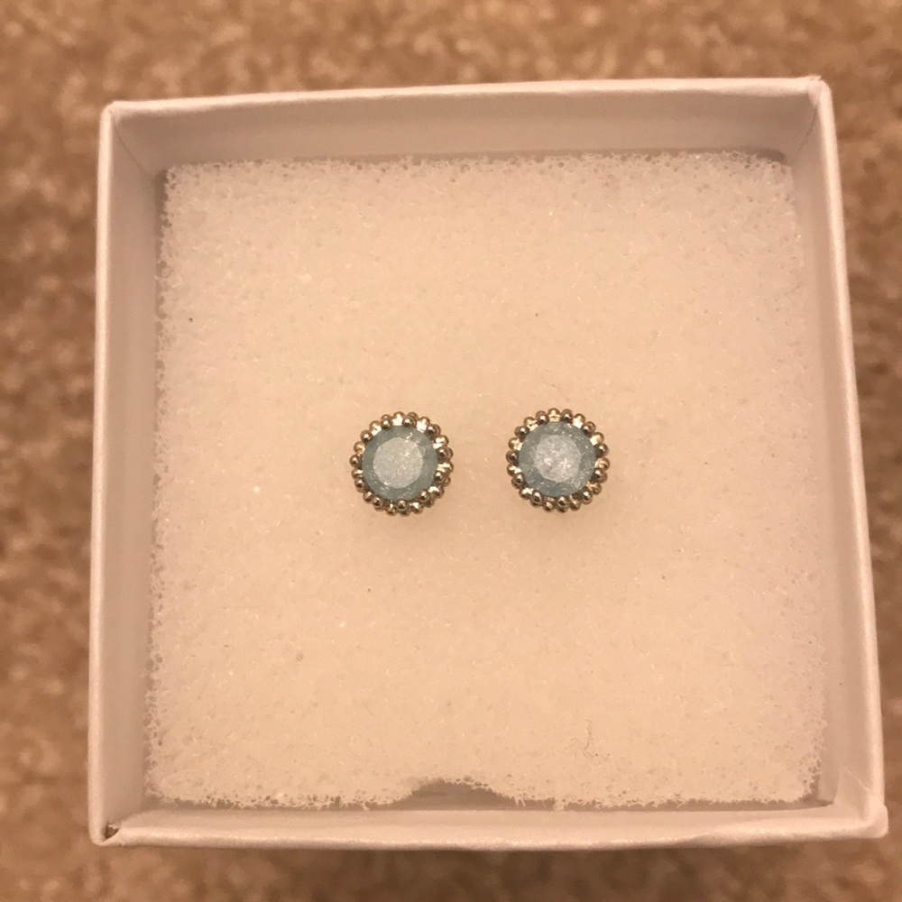 Cute Blue & Silver Stud Earrings